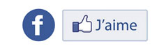 Facebook Iléades